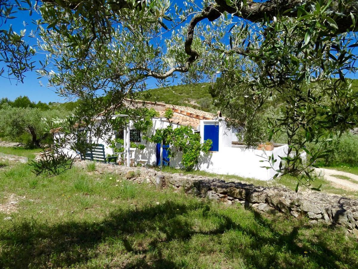 Casita Blanca Villa El Perelló Dış mekan fotoğraf